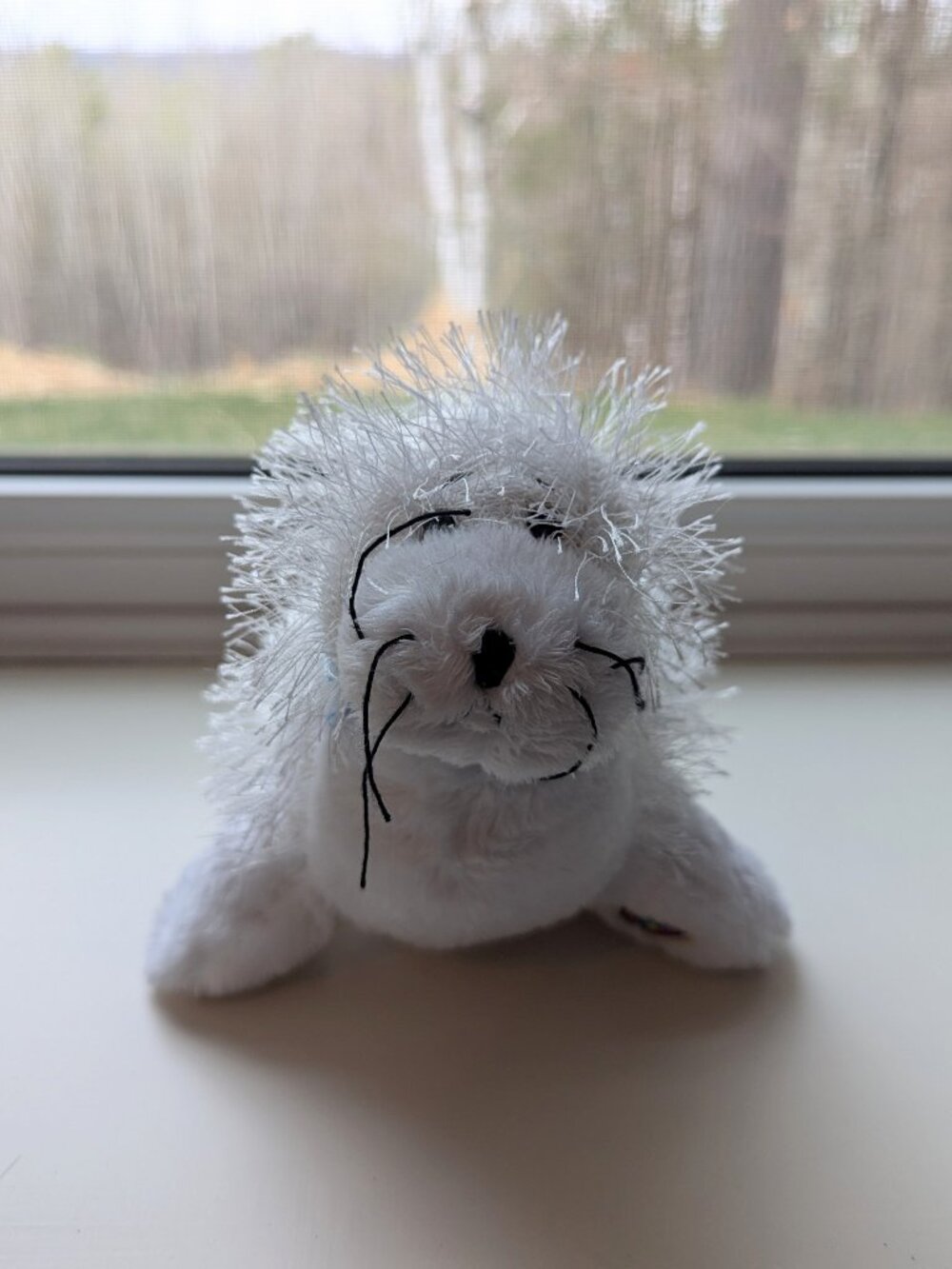 Webkinz - Seal - no code